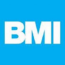 BMI Image